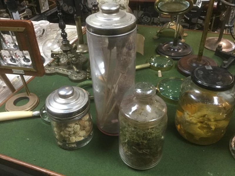 Dry Specimens in Jars